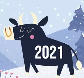 З прийдешнім Новим роком 2021 | OZON