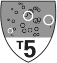 T5
